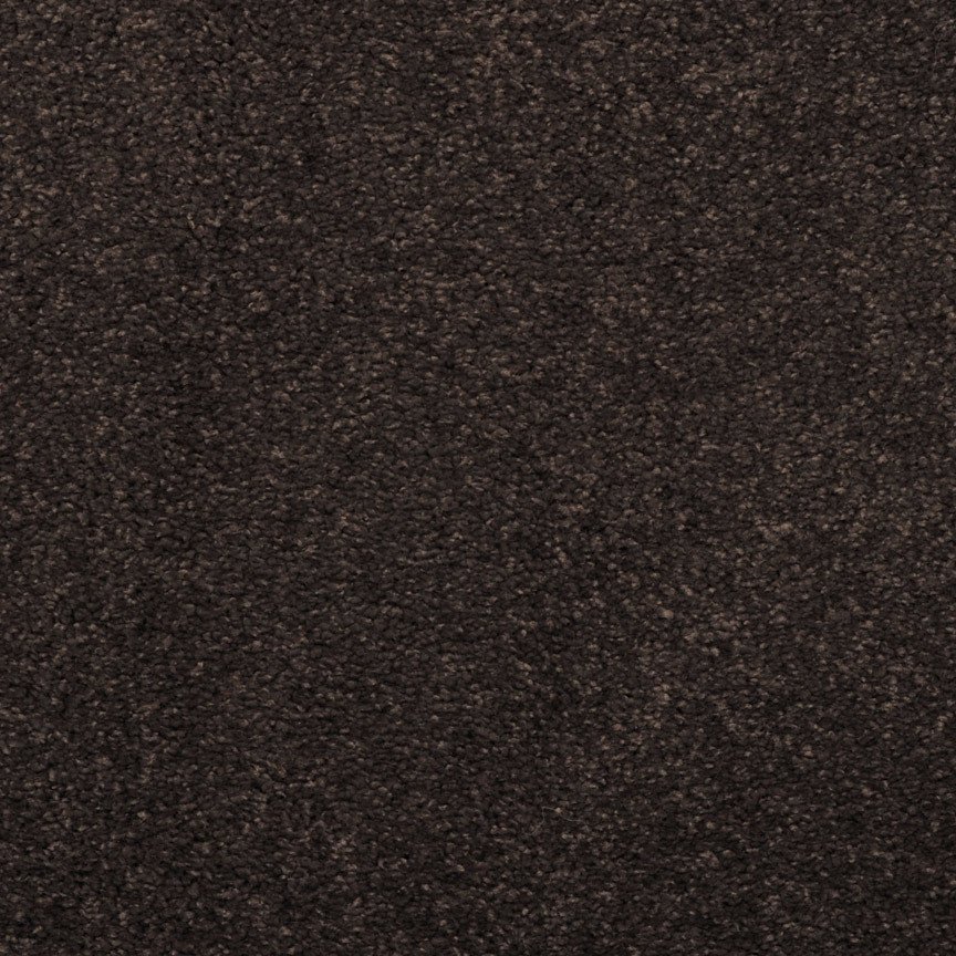 Masland Embrace - Black Olive