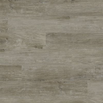 Provenza Floors Moda Living - Joy Ride
