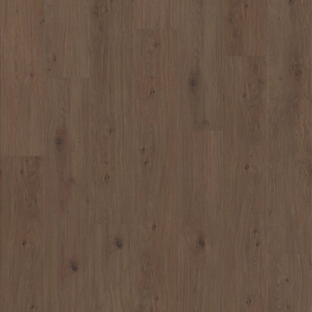 Shaw Floors Riviera - Tuxedo Bronze