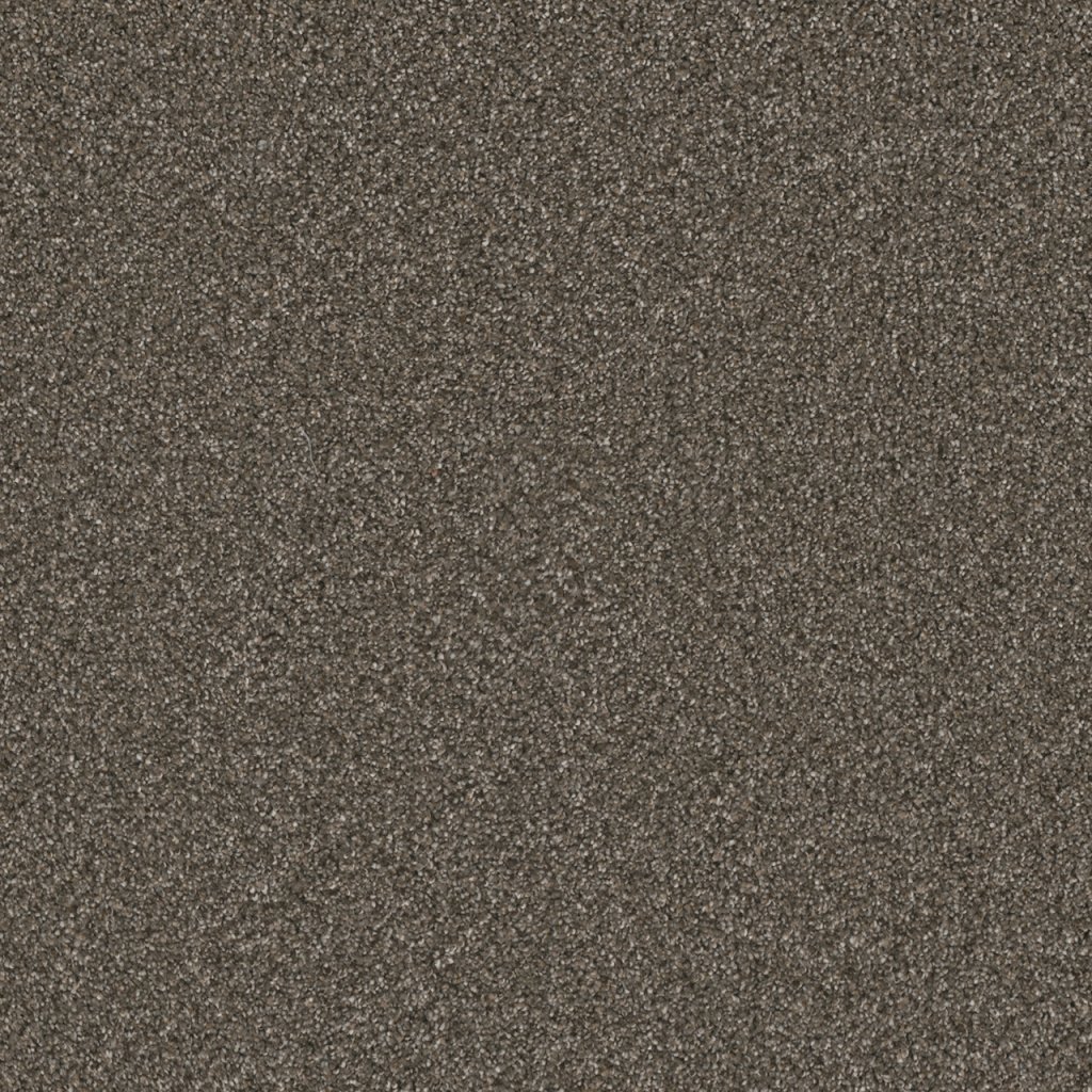 Dreamweaver ROYALE II - Rugby 6112