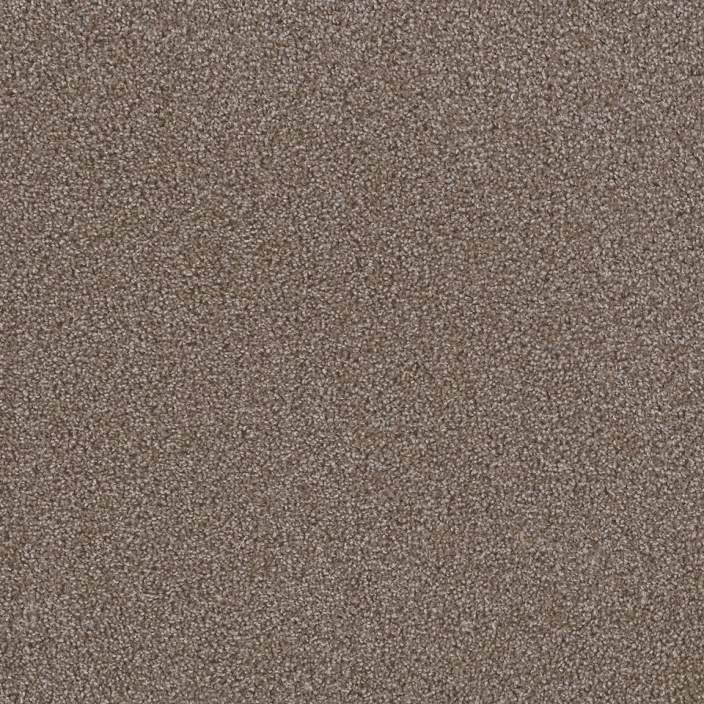 Dreamweaver FIRST STEP - Silvery 829