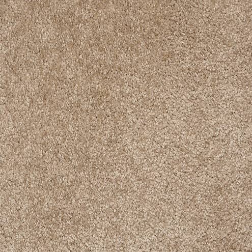 Stanton BRILLIANT MIND - GOLDEN SAND