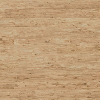 CALI Natural Eucalyptus Flooring - 5-1/8" x 48"