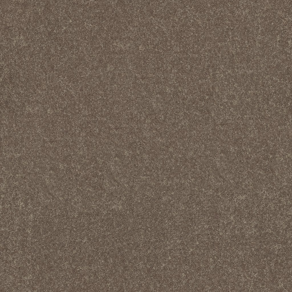 Shaw Floors Larimore 12' - Shale