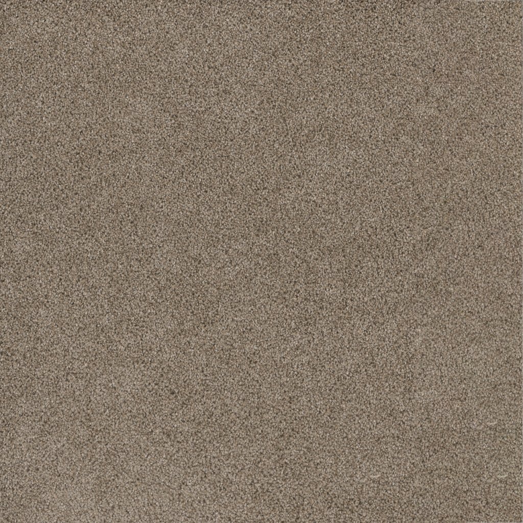 Dreamweaver STUNNING - Mocha 775