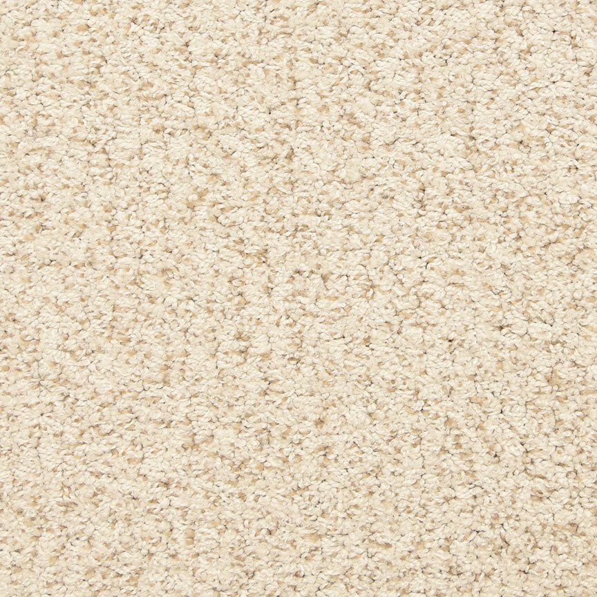 Masland Sea Grass - Shell