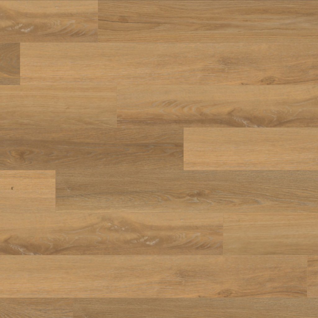 Mannington Everest - Trail
