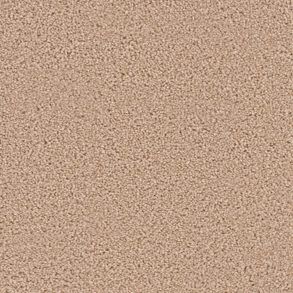 Dreamweaver EXCEPTIONAL - Cookie Dough 705