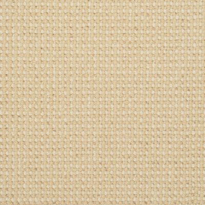 Masland Hollywood - Banana Cream - 12'