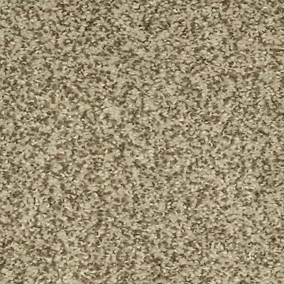 Karastan Astonishing Beauty - Wilmington Tan