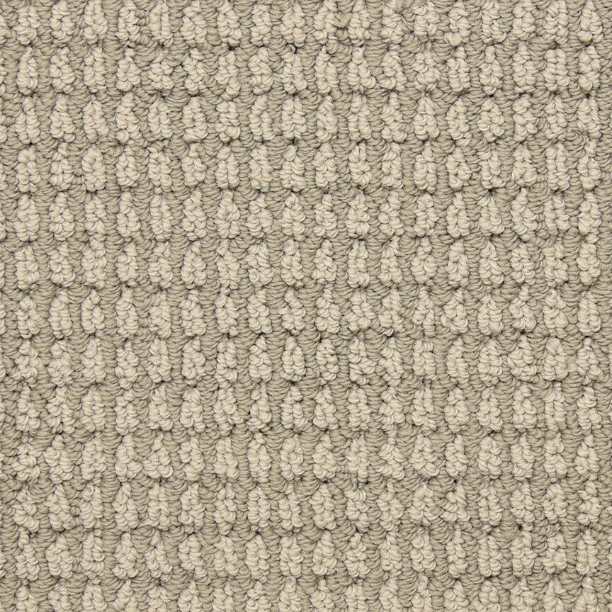 Masland Urban Escape - Backdrop