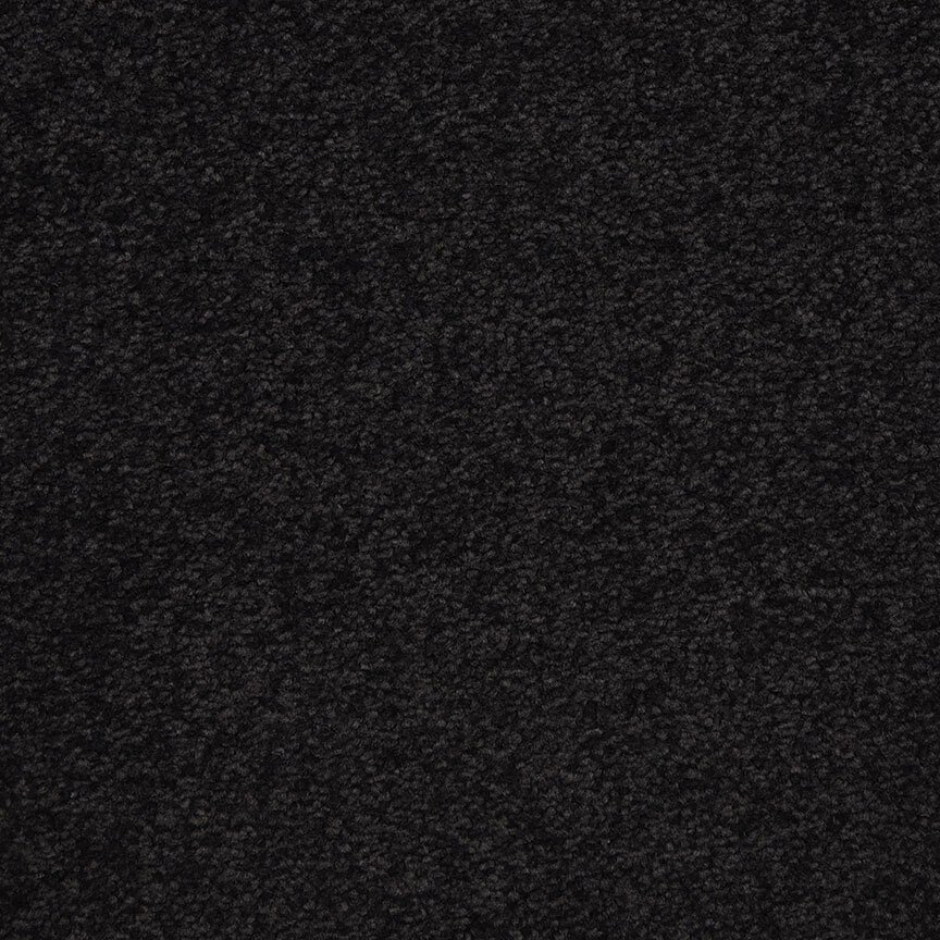 Masland Patriot - Asteroid