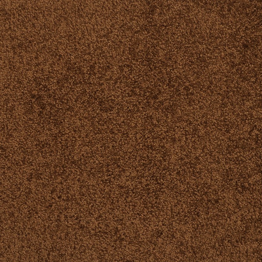 Masland Americana - Burro