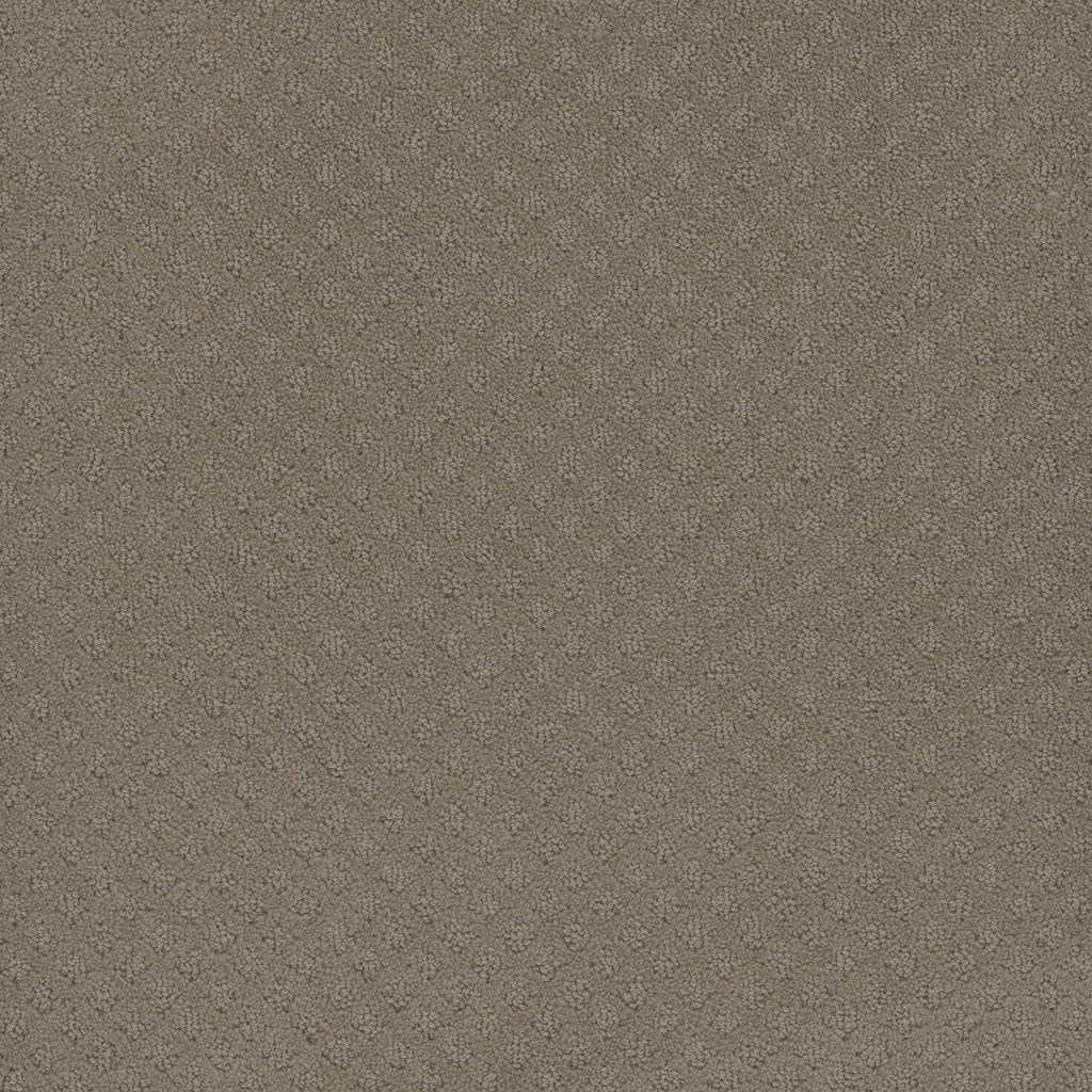 Dreamweaver CAPRI - Timber Ridge 6841