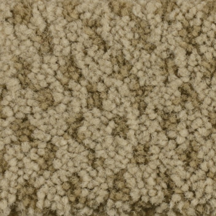 Masland Seurat - Tan