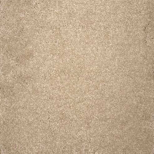 Stanton INFINITE POSSIBILITY - SAND DOLLAR