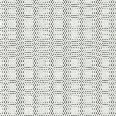 Marble Systems Alpine Glossy Penny Hexagon Porcelain Mosaic 10 1/8x11 5/8 - Alpine - 10 1/8" x 11 5/8" x 1/4"