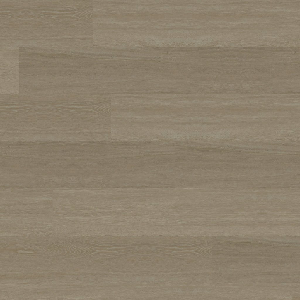MSI Wayne Parc Andaz - Andaz™