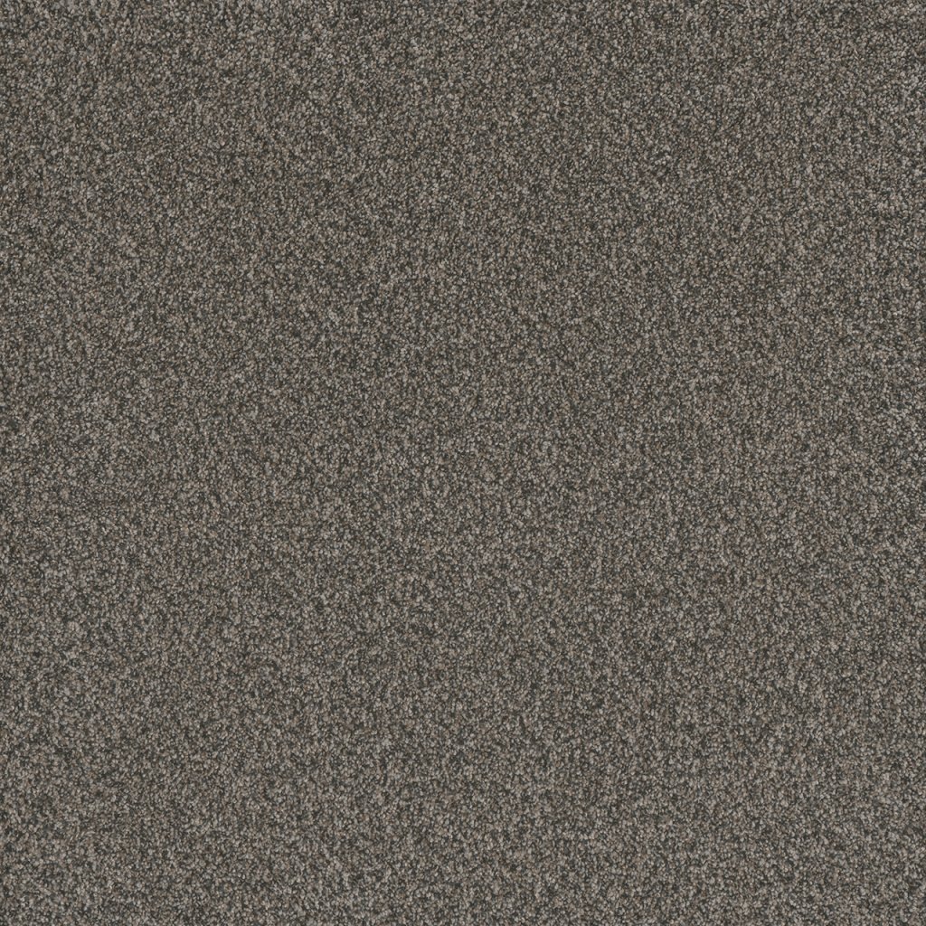 Dreamweaver TITAN II - Castle Rock 387