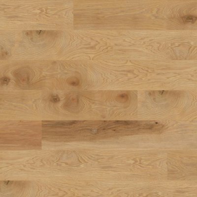 CALI South Seas Oak Windansea High Tide Luxury Vinyl Flooring - 8-3/4" x 72"