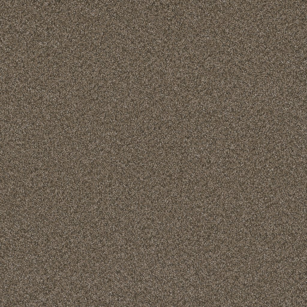 Dreamweaver BLAZER III - Fawn 6005