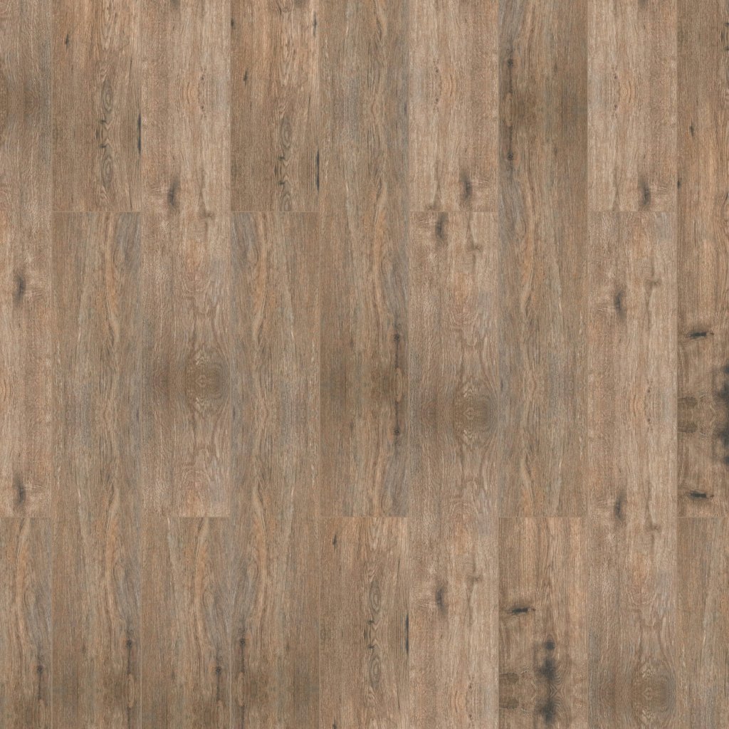 MSI Fauna - Brown