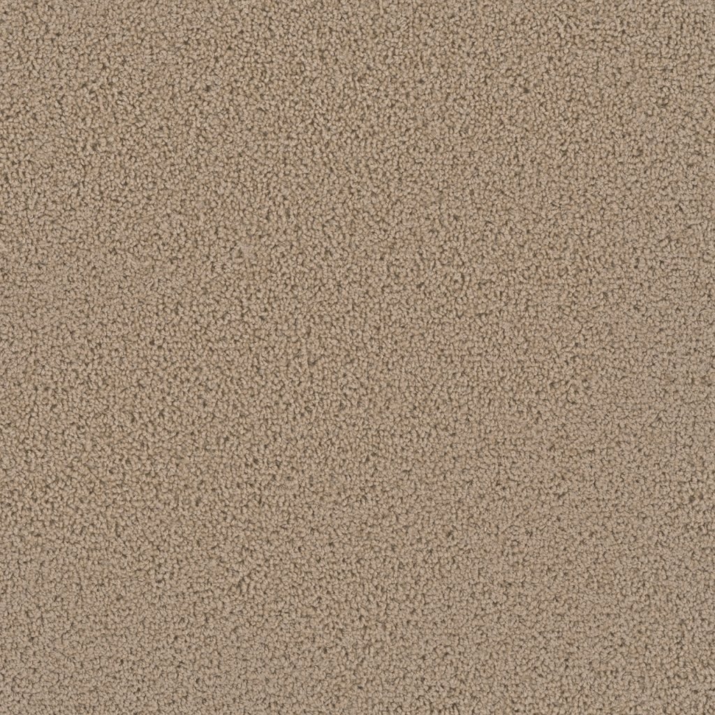 Dreamweaver FIRST STEP - Satinwood 555