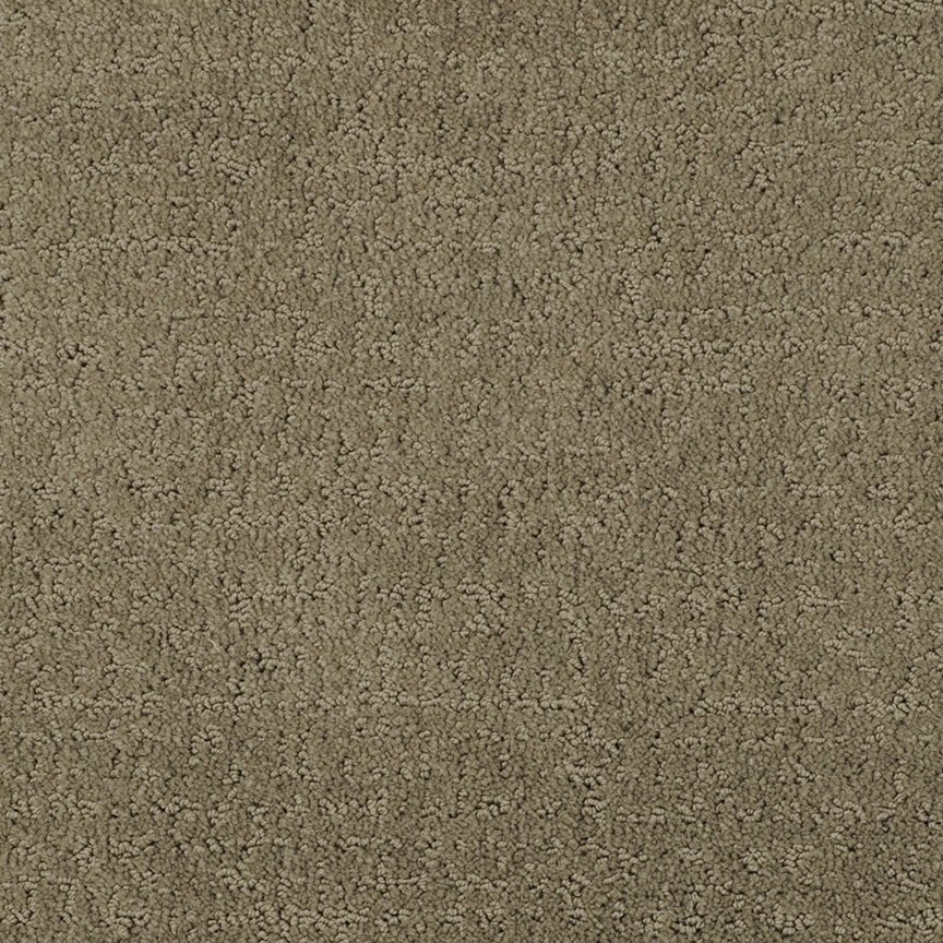 Masland Matisse - Coffee Bean