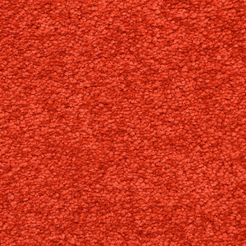 Masland Montrose - Red Hot