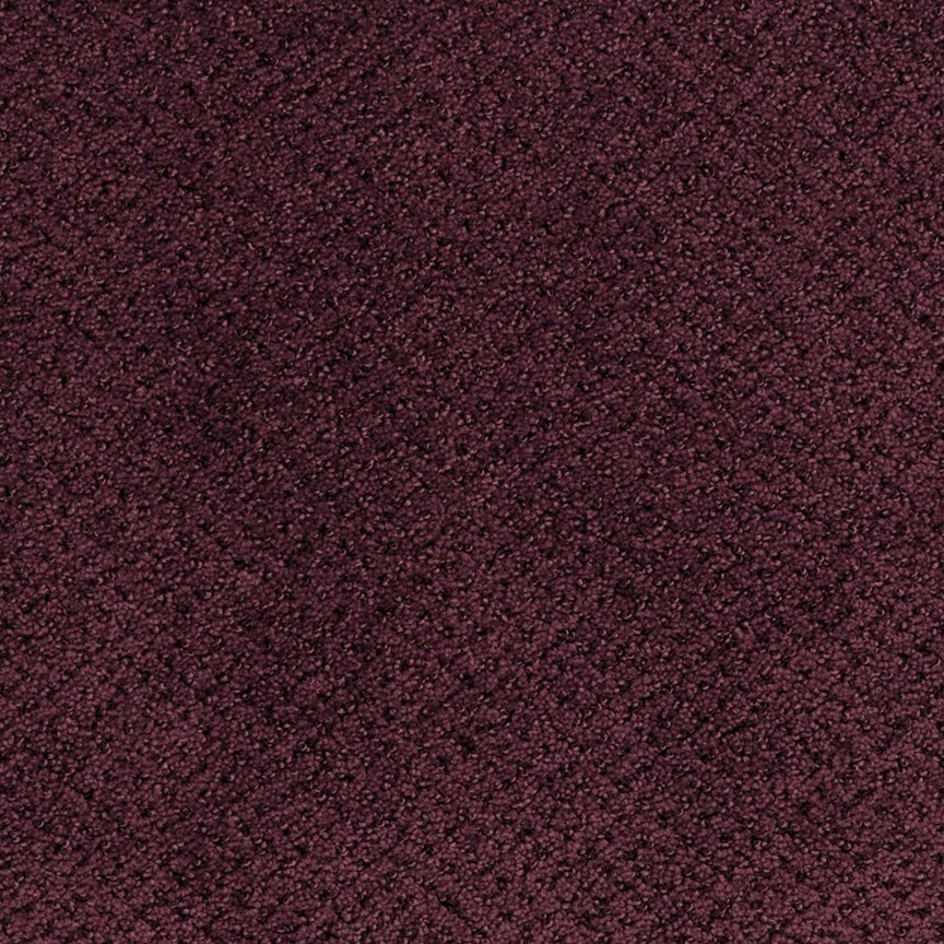 Masland Montauk - Blackberry