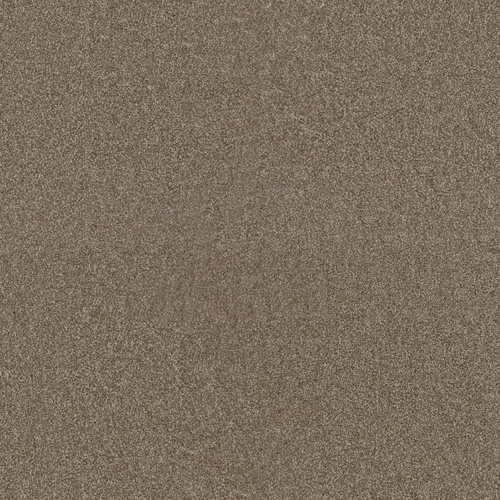 Dreamweaver STAR STRUCK - Quail 725