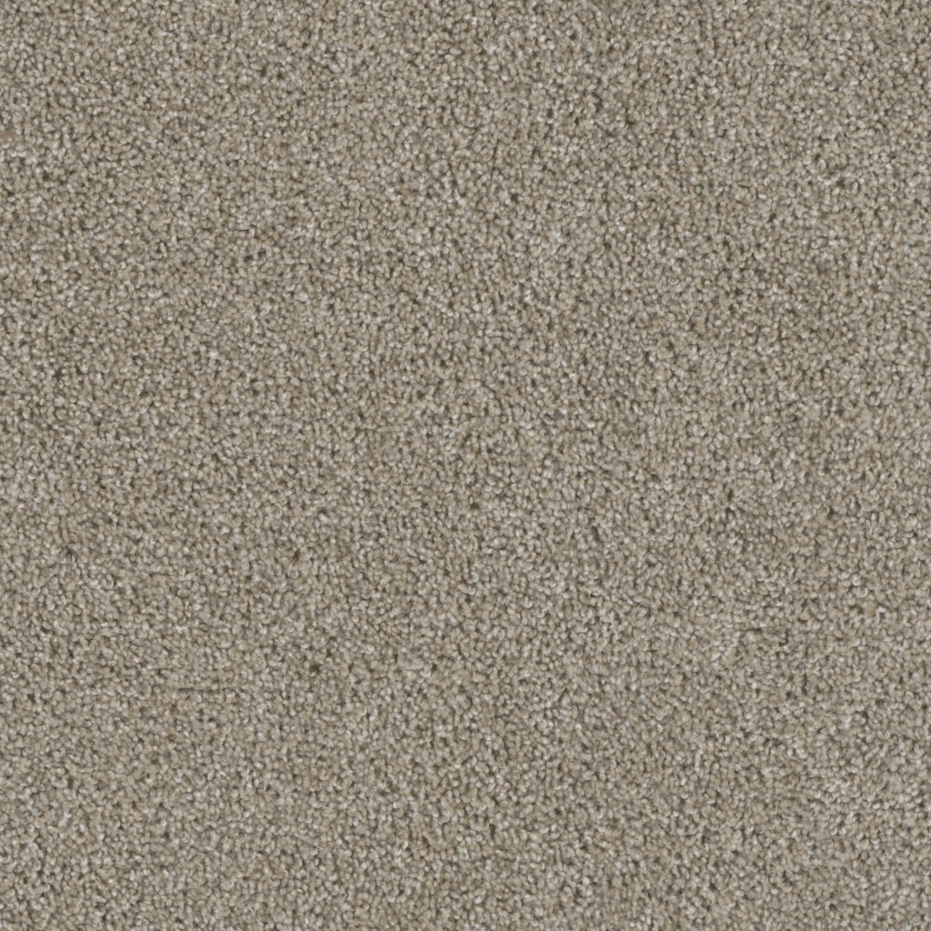Dreamweaver ACCLAIM - Vela 164
