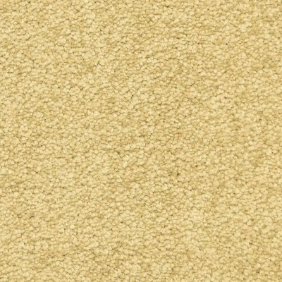 Masland Montrose - Bronze - 12'