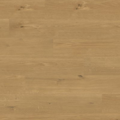 Canopy Harpeth Oak - 9" x 6ft