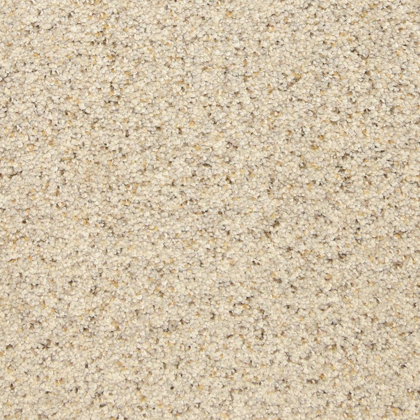 Masland This And That - Granite