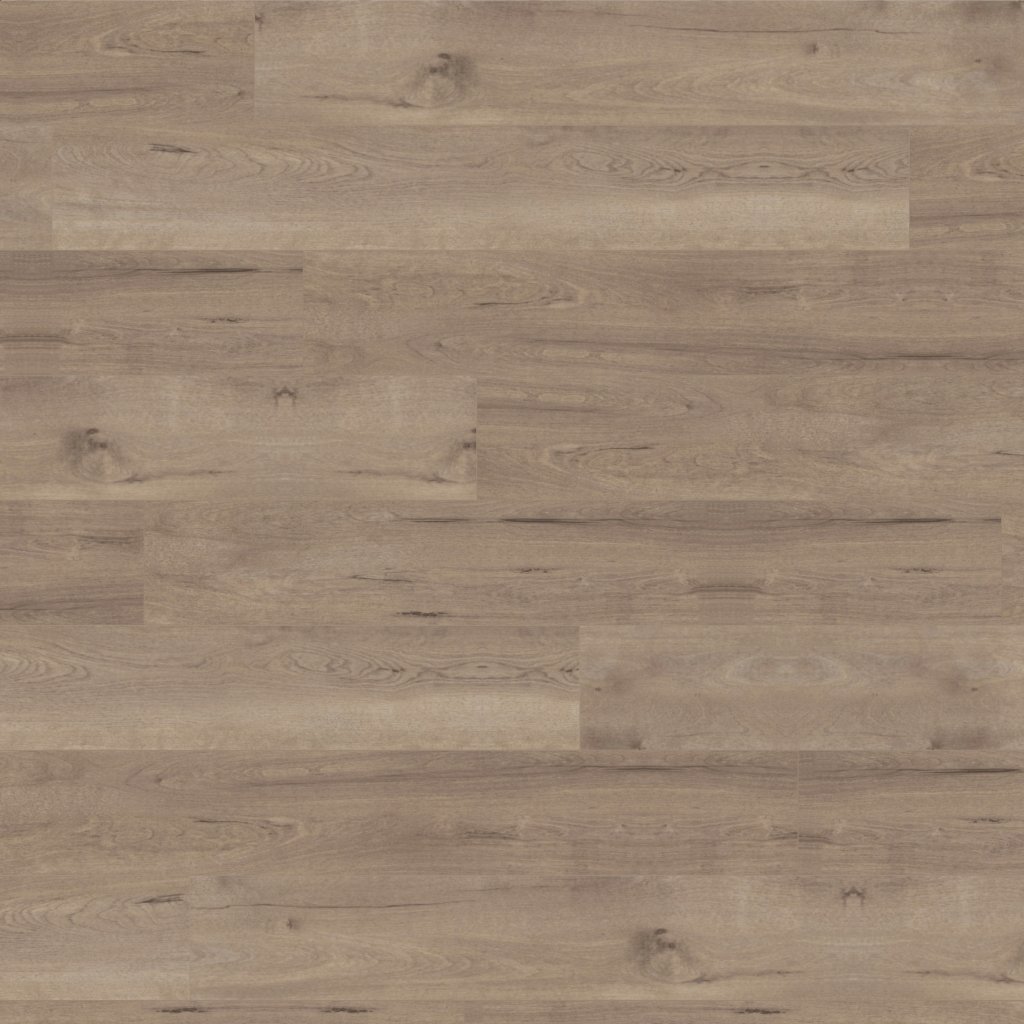 Karndean Designflooring FROSTED BIRCH SCB83 - BROWN
