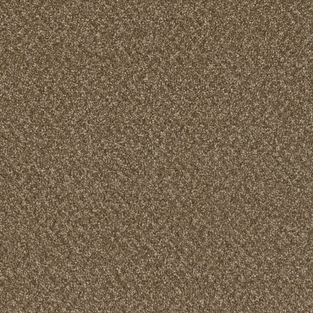 Dreamweaver BROADCAST PLUS - Mocha Beige 2351