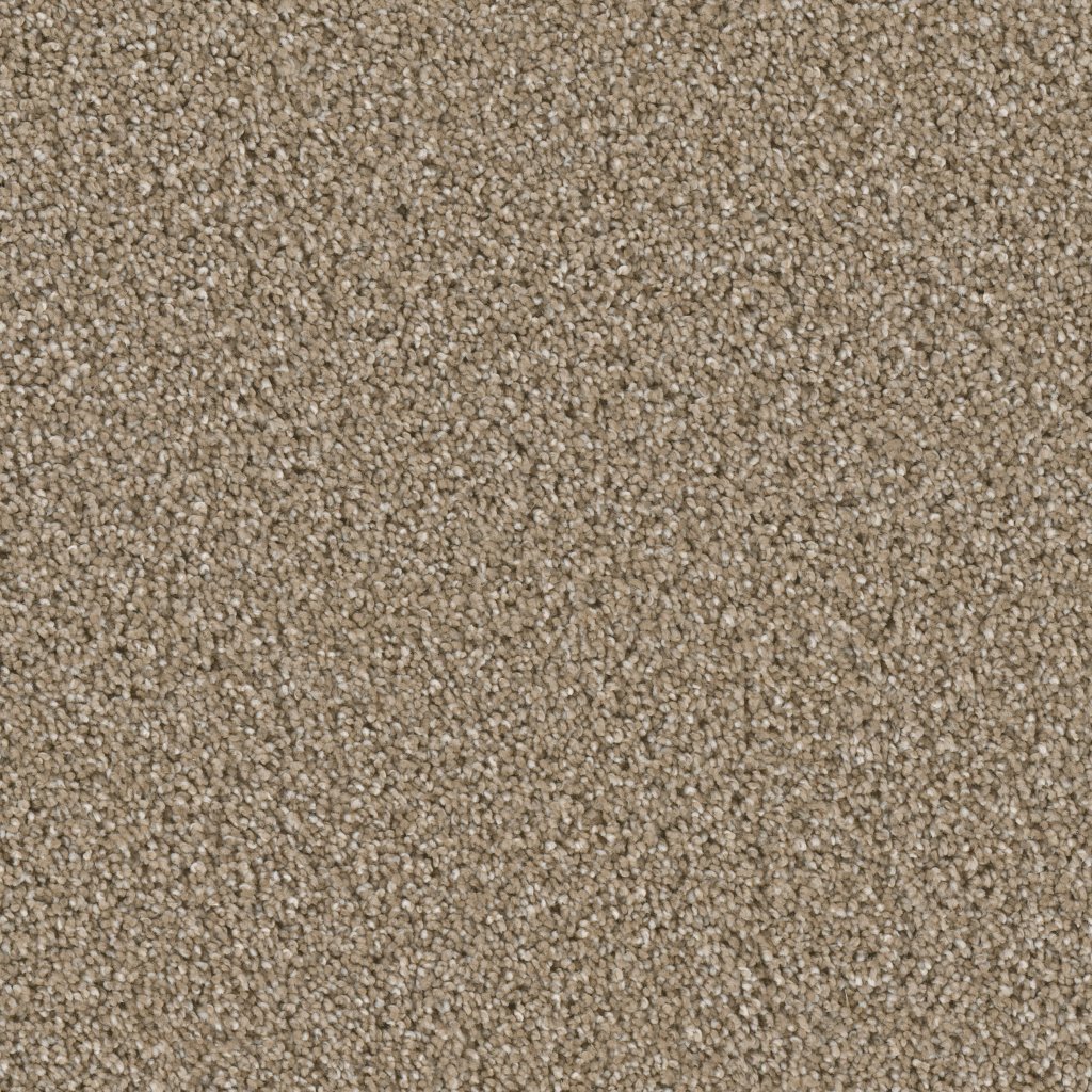 Dreamweaver COSMOPOLITAN II - Acorn 858