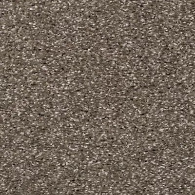 Karastan Luxurious Vision - Driftwood