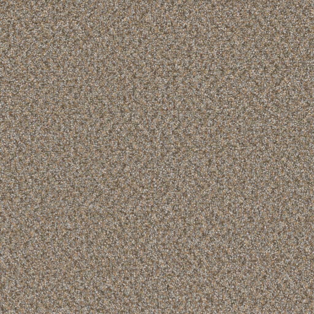 Dreamweaver BROADCAST PLUS - Siesta 2068