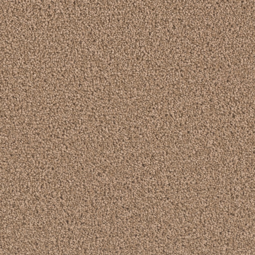 Dreamweaver EXCEPTIONAL II - Sable 510