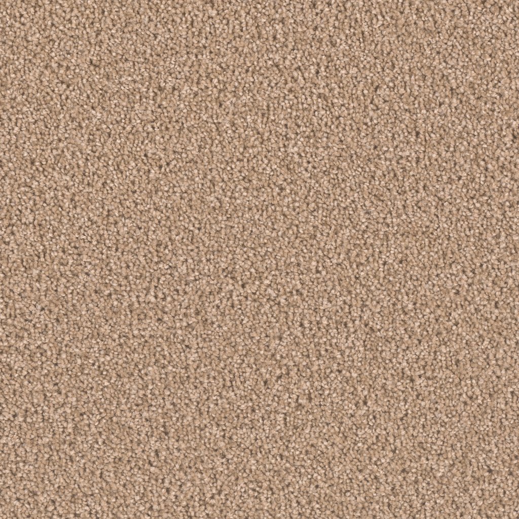 Dreamweaver EXCEPTIONAL II - Buff 720