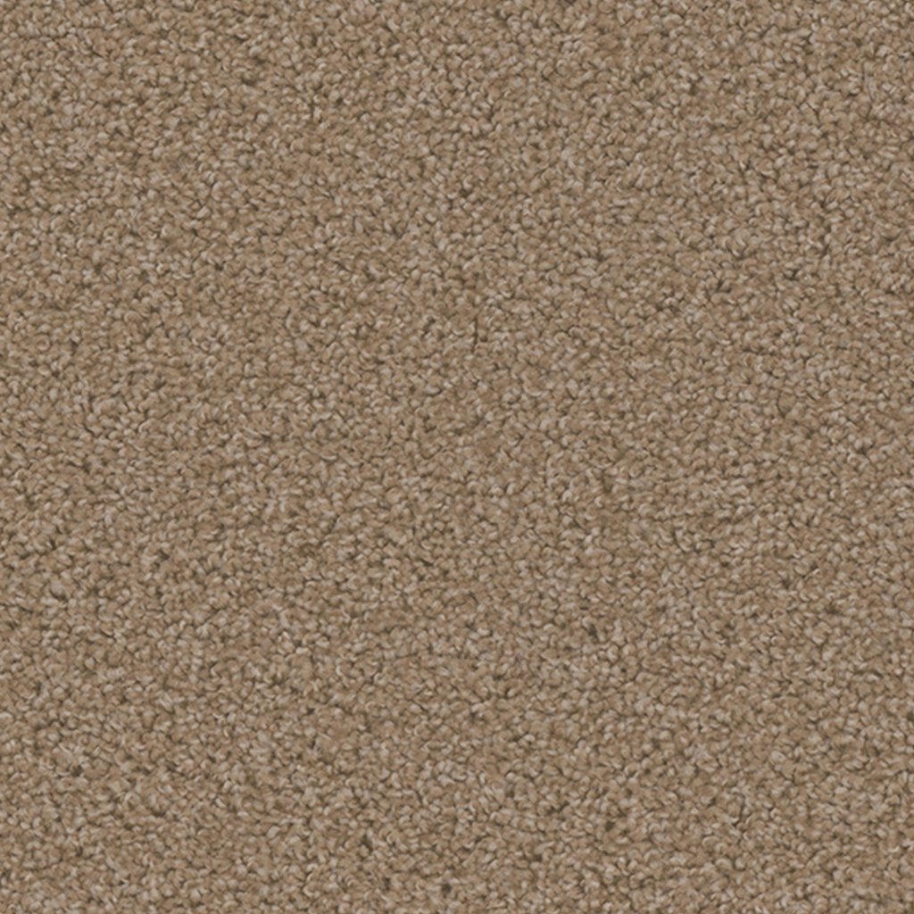 Dreamweaver SP250 - Sawgrass 701