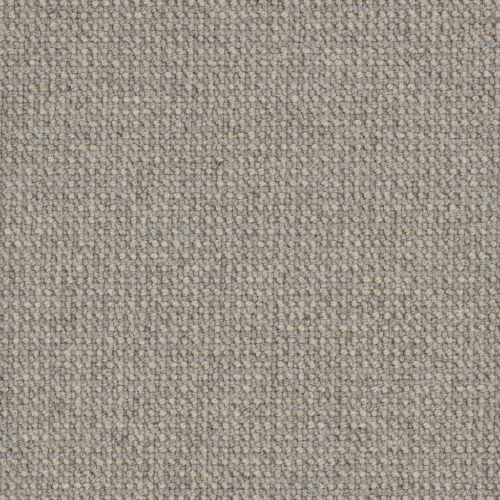 Masland Perception - Fossil