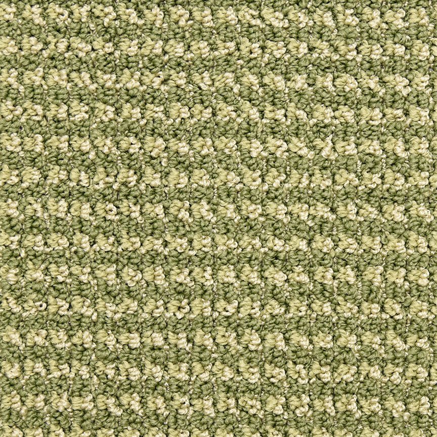 Masland Tango - Aerial