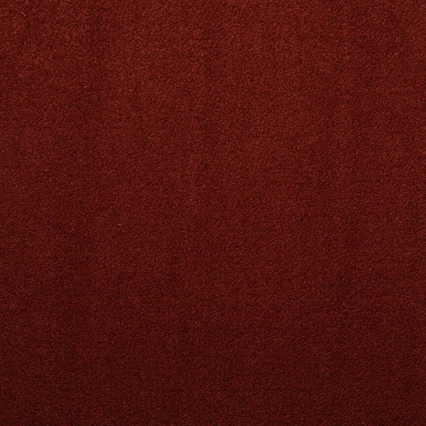 Masland Silk Touch - Sienna