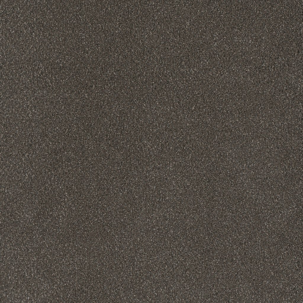 Dreamweaver PALMETTO II - Bear Paw 2064