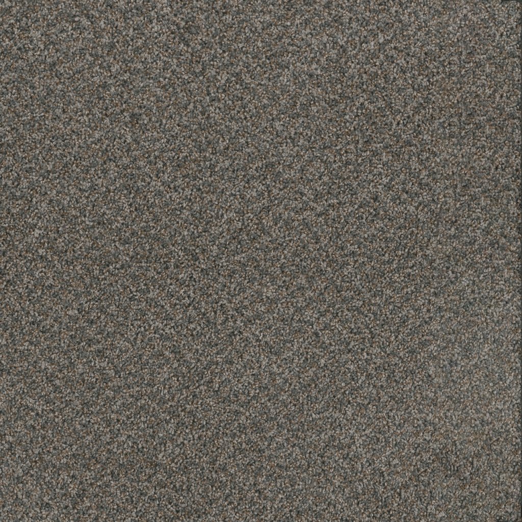 Dreamweaver TOAST OF THE TOWN - Flagstone 884