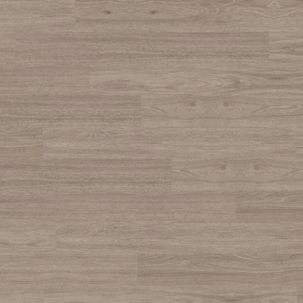 MSI Katavia Bleached Elm - Elm®
