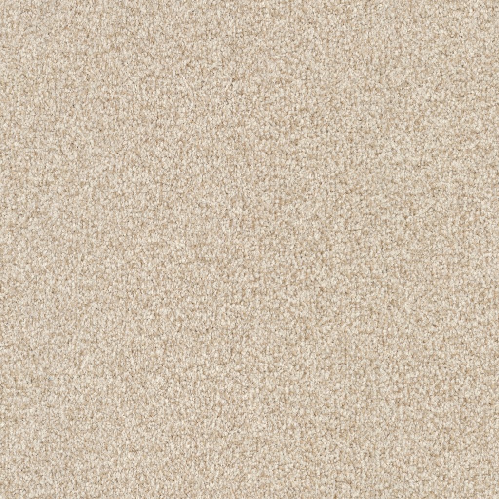 Masland Santa Rosa - Sea Oat